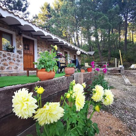 Chalet De Montana Parque Natural Calar Rio Mundo - Independiente - Wifi Riópar Zewnętrze zdjęcie